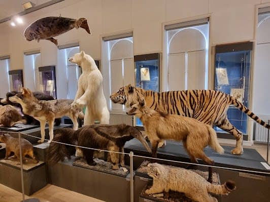 Natural History Museum Rotterdam photo 5