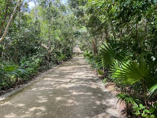 Parque Ecológico Kabah photo 3