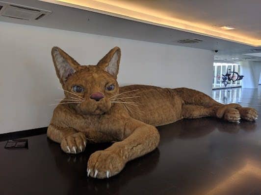 Museum of Contemporary Art at the University of São Paulo photo 7