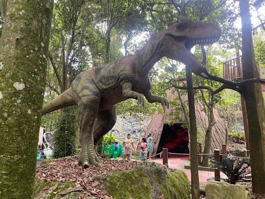 Zoológico de São Paulo photo 4