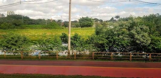 Pinheiros River photo 5