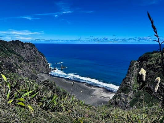 Mercer Bay Loop Walk