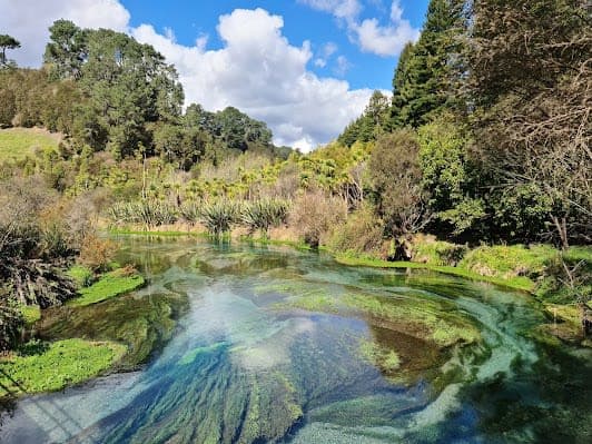 Blue Spring