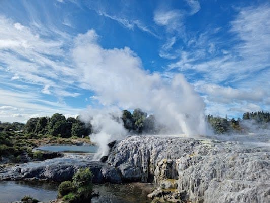 Te Pūia