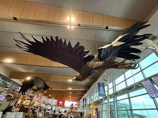 Wellington International Airport (WLG)
