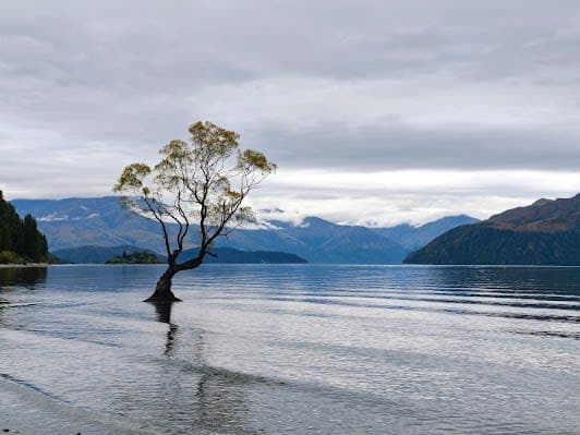 Lake Wānaka Beach