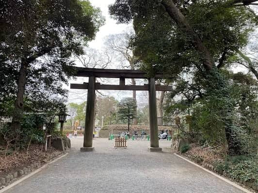 Meiji Jingu photo 3