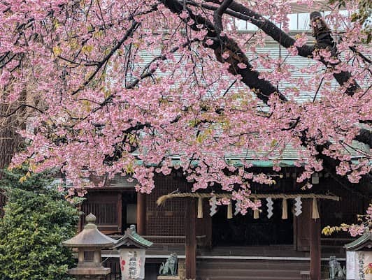 Ueno Park photo 3