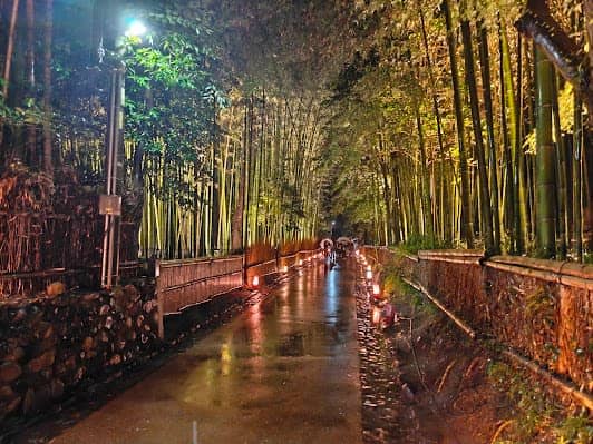Arashiyama Bamboo Forest photo 2