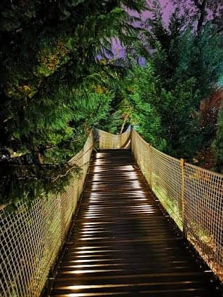 Yıldız Park photo 2