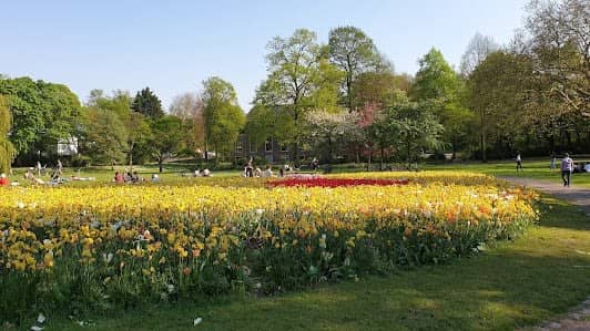 Het Park photo 3