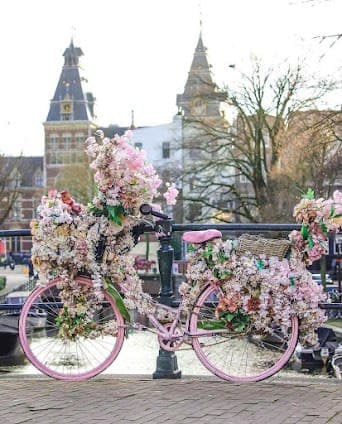 Complete Netherlands in 13 days - 13 days travel itinerary in Amsterdam, Netherlands featuring Anne Frank House and Jordaan