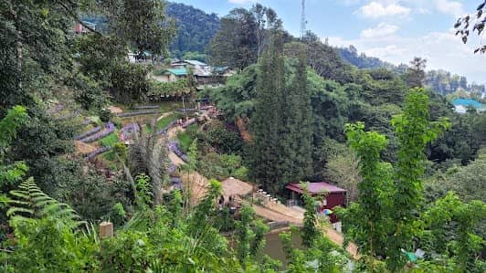 Hmong Doi Pui Village photo 2