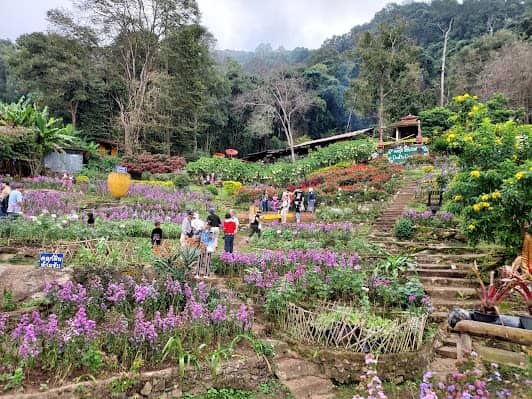 Hmong Doi Pui Village photo 3
