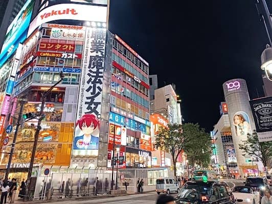 Shibuya Crossing photo 6