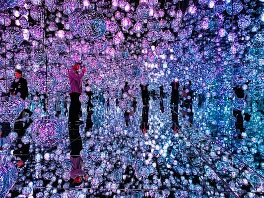teamLab Borderless: MORI Building DIGITAL ART MUSEUM photo 2