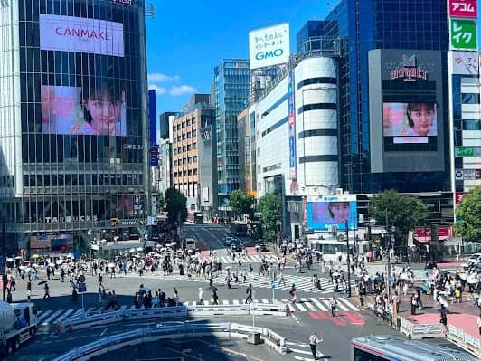 Shibuya Crossing photo 7