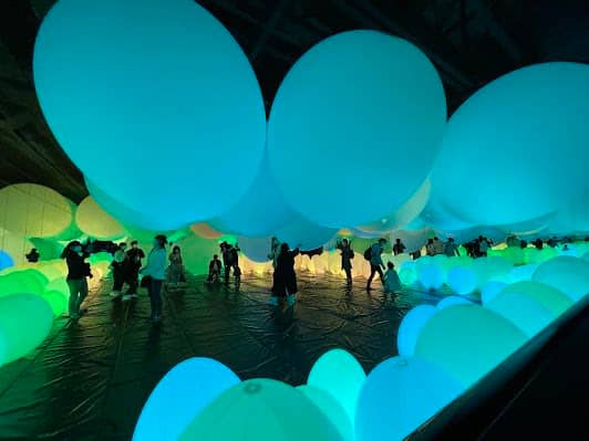 teamLab Borderless: MORI Building DIGITAL ART MUSEUM photo 3