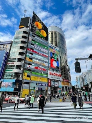 5 day Tokyo itinerary for shopping lovers itinerary cover